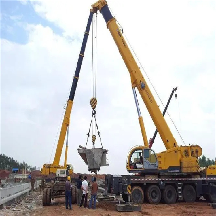 三门小型吊机出租电话|厂房设备吊装方案|24小时服务覆盖